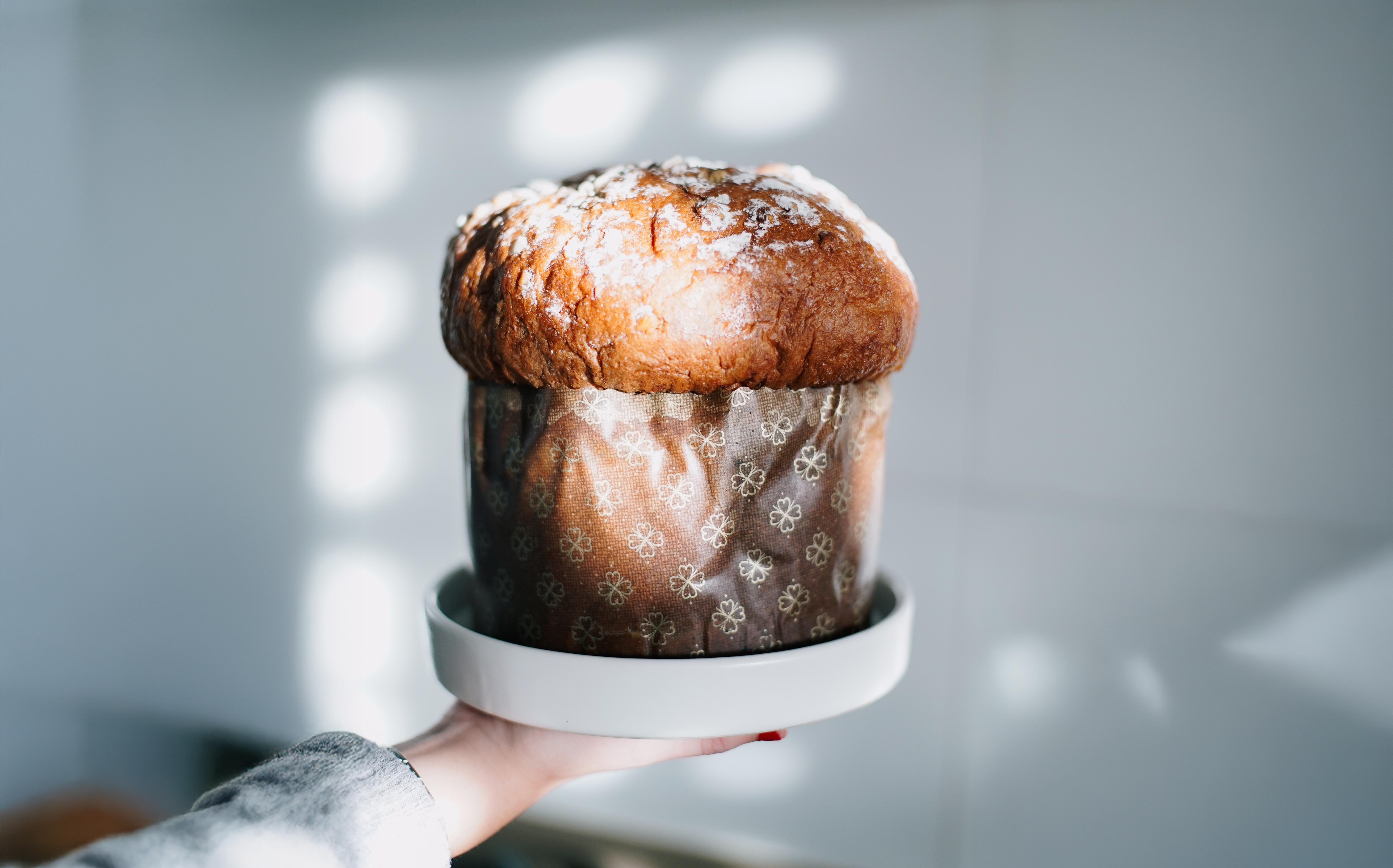 Panettone_adicto Hello Room